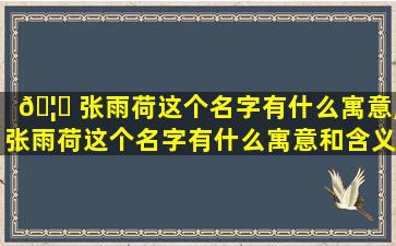 🦋 张雨荷这个名字有什么寓意,张雨荷这个名字有什么寓意和含义